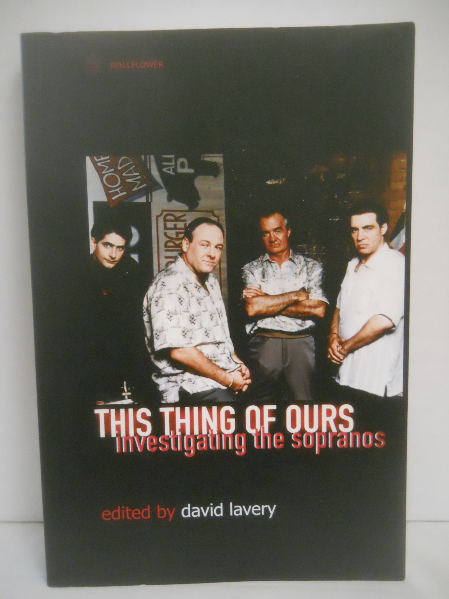 This Thing of Ours by Lavery, David