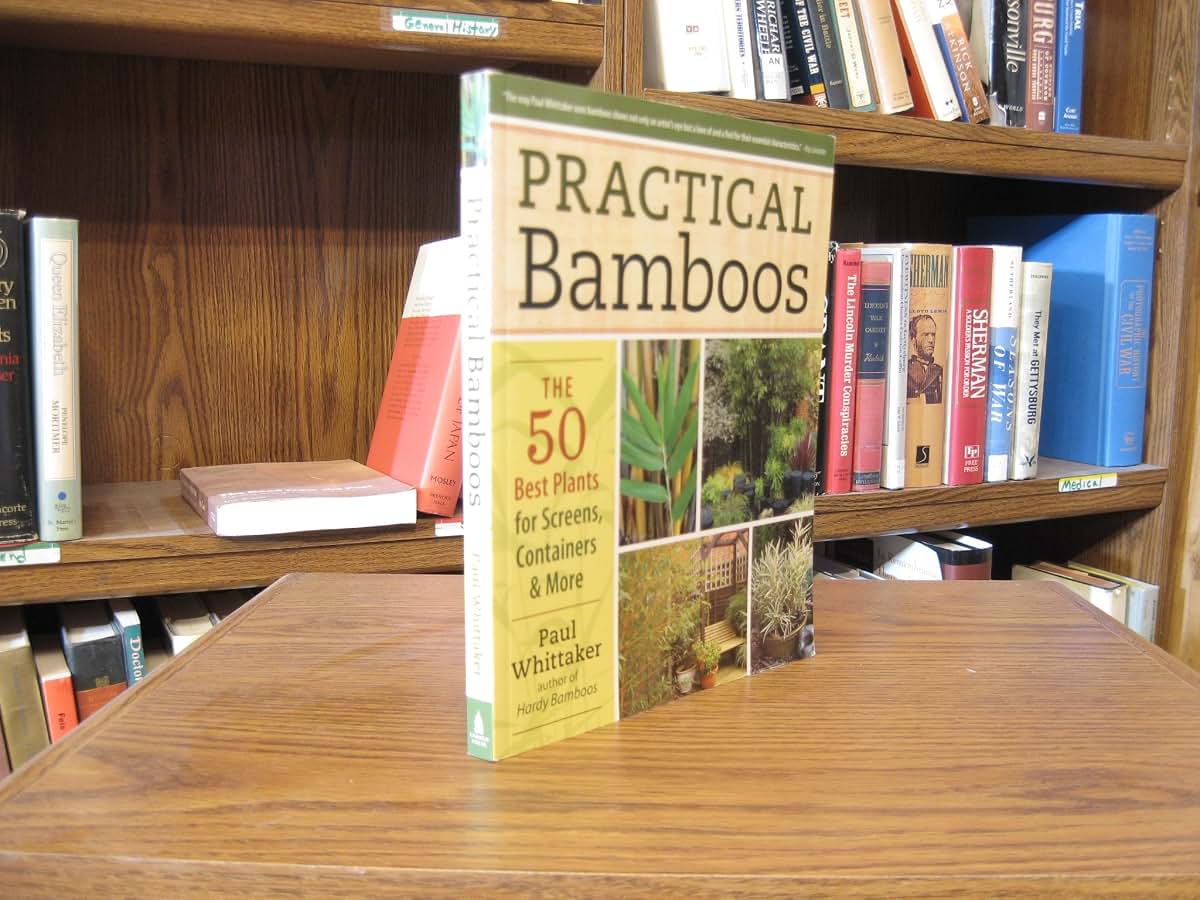 Practical Bamboos: The 50 Best Plants for Screens, Container