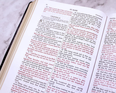 Douay-Rheims Bible Large Print Edition