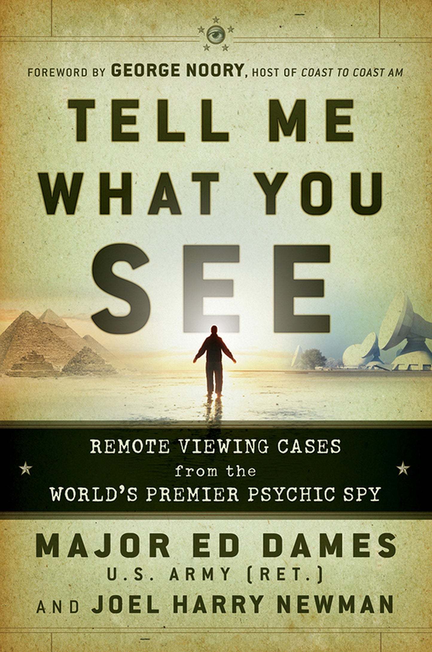Tell Me What You See: Remote Viewing Cases from the World's