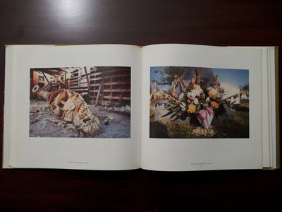 Ancient and Modern by William Eggleston