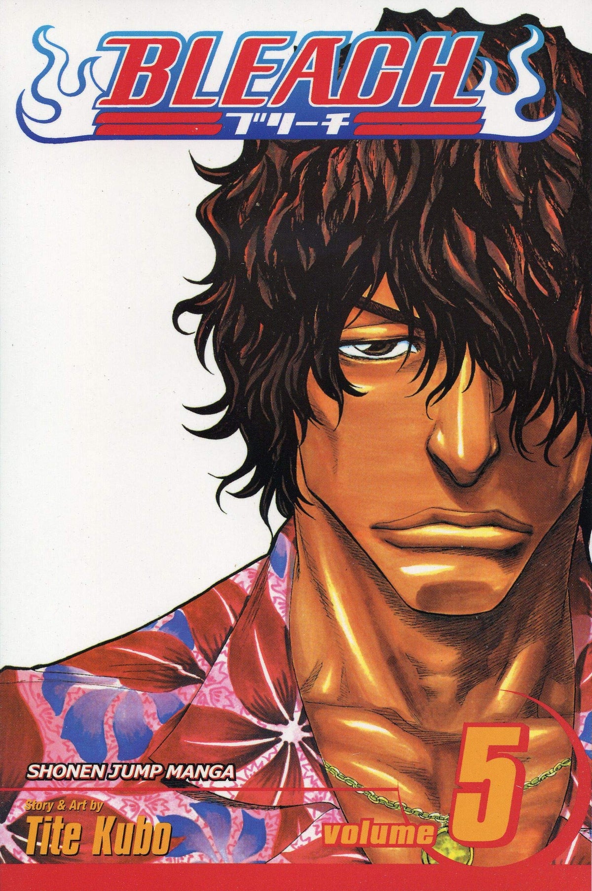 Bleach, Vol. 5: Right Arm of the Giant