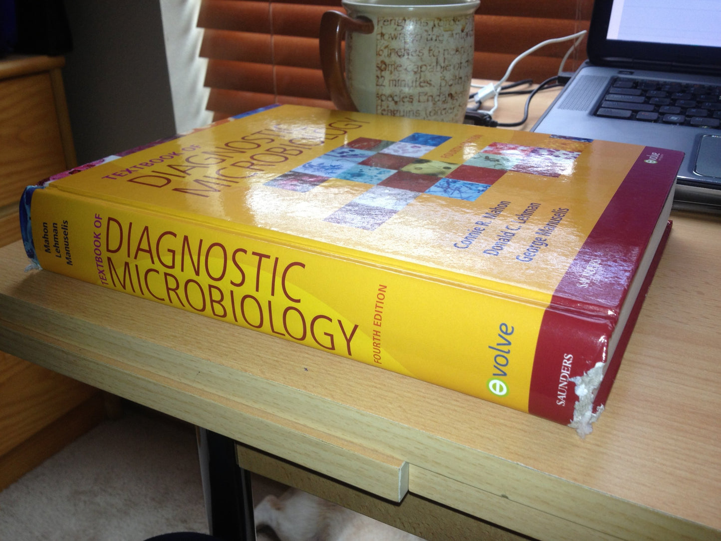 Textbook of Diagnostic Microbiology