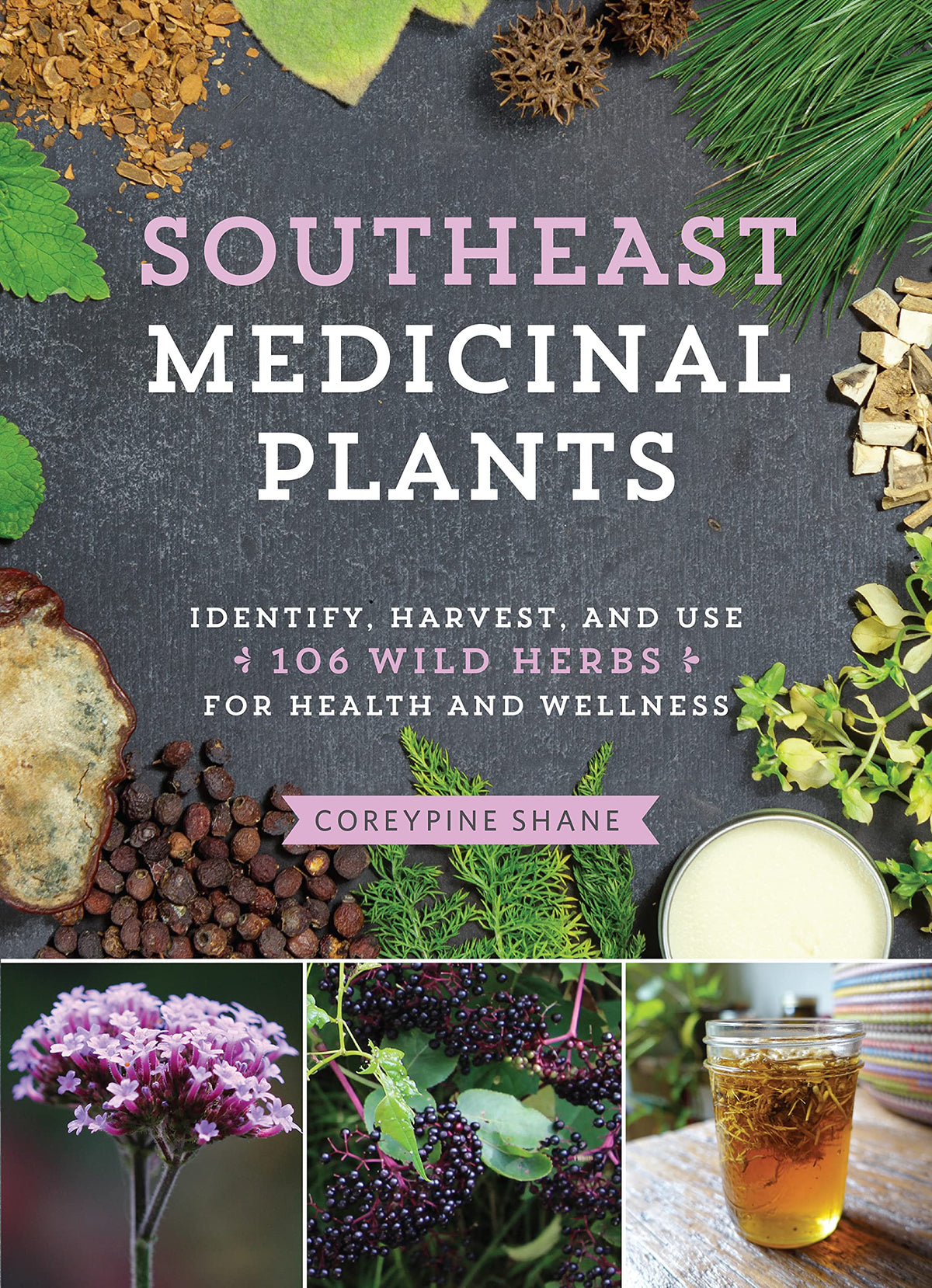 Southeast Medicinal Plants: Identify, Harvest, and Use 106 Wild Herbs for Health and Wellness (Medicinal Plants Series)