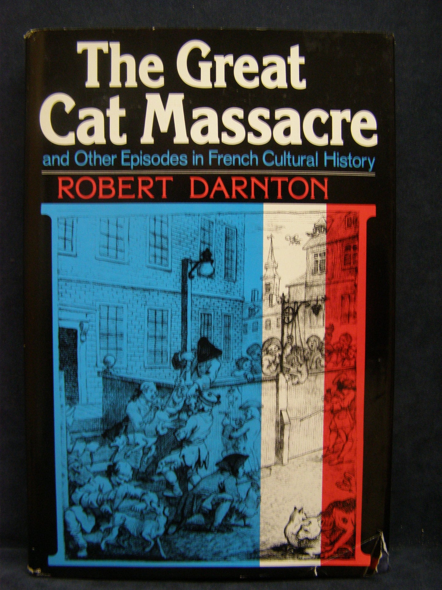 The Great Cat Massacre And Other Episodes In French Cultural