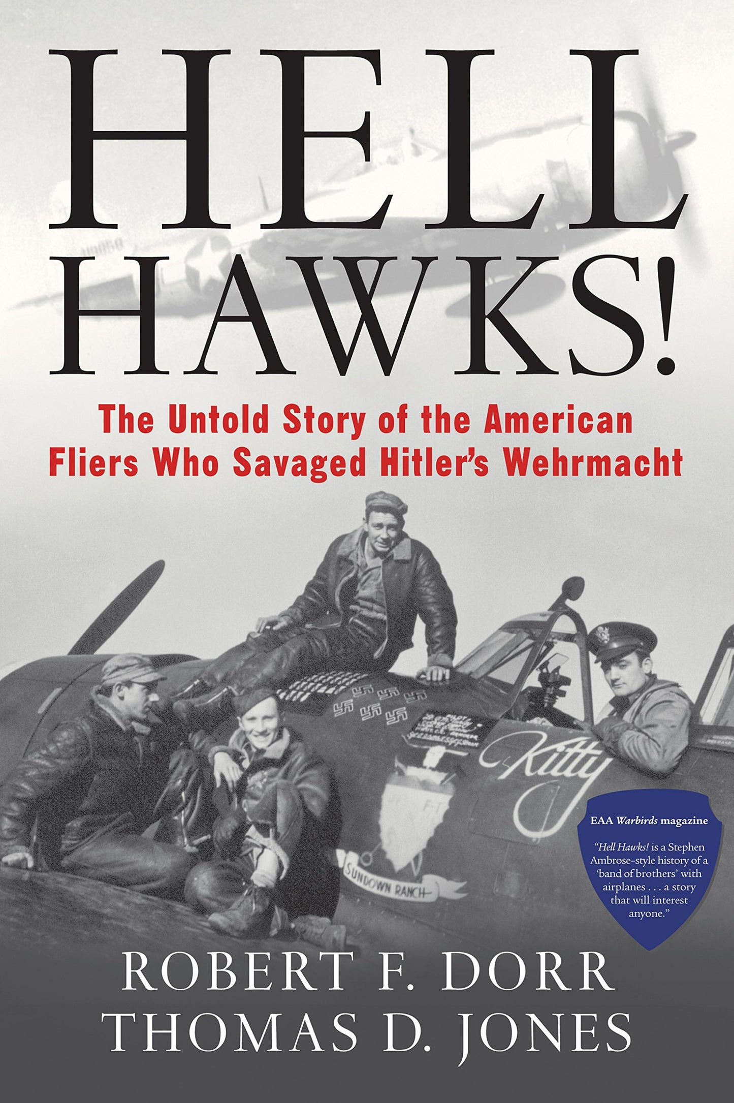 Hell Hawks!: The Untold Story of the American Fliers Who Sav