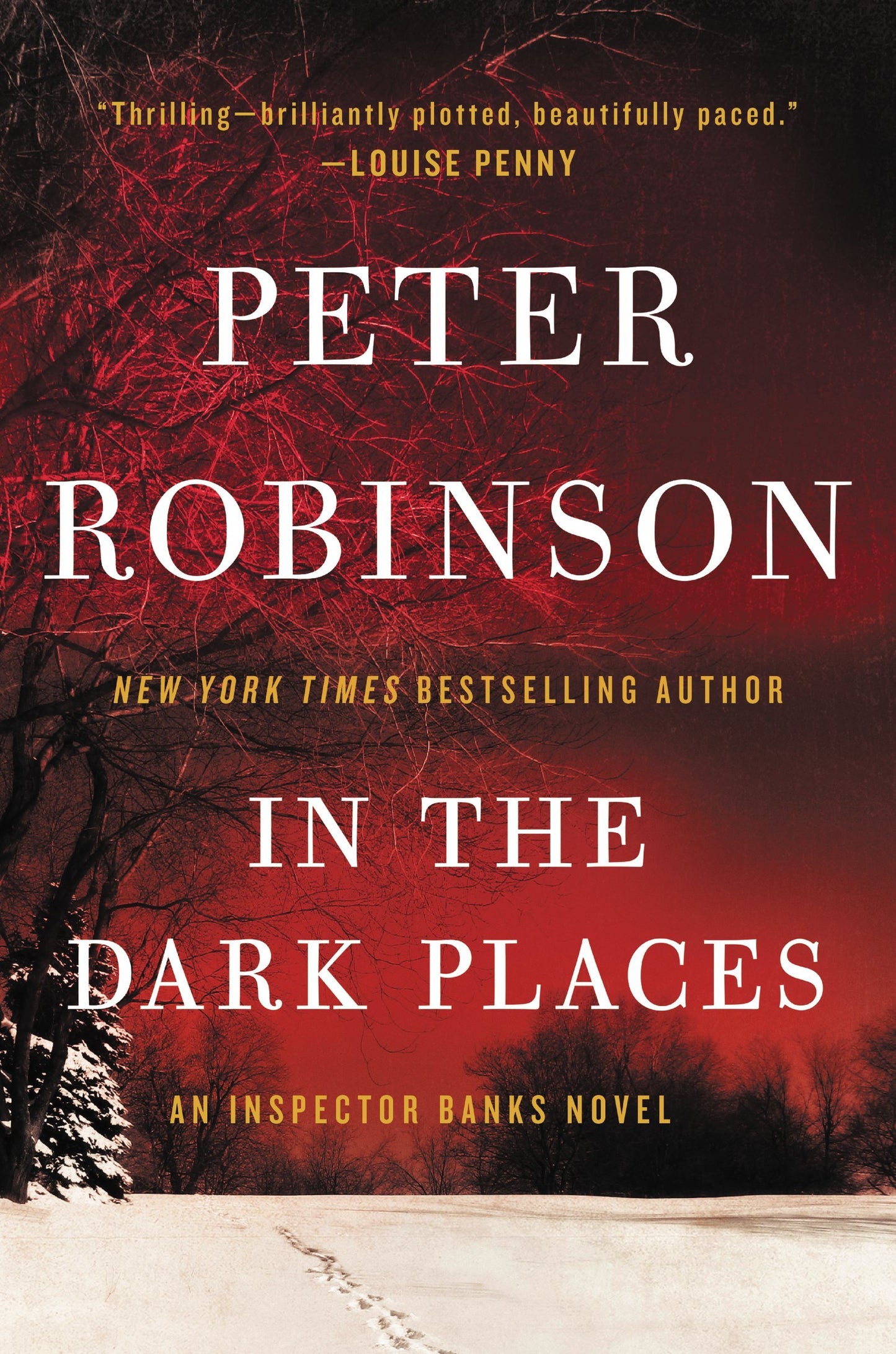 In the Dark Places: An Inspector Banks Novel (Inspector Bank