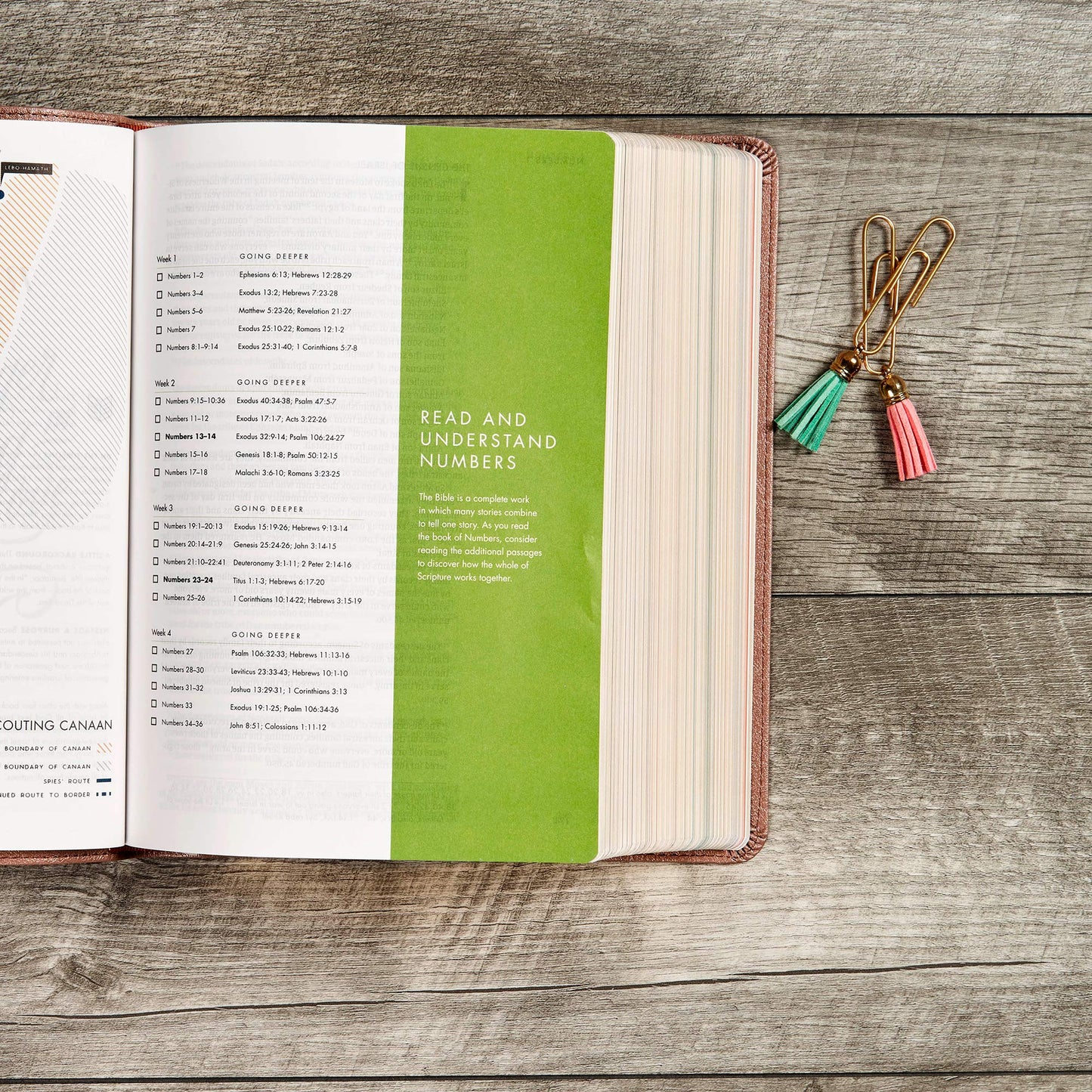 CSB She Reads Truth Bible, Rose Gold LeatherTouch, Black Letter