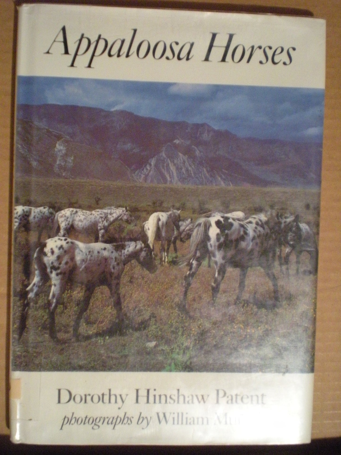 Appaloosa Horses by Patent, Dorothy Hinshaw