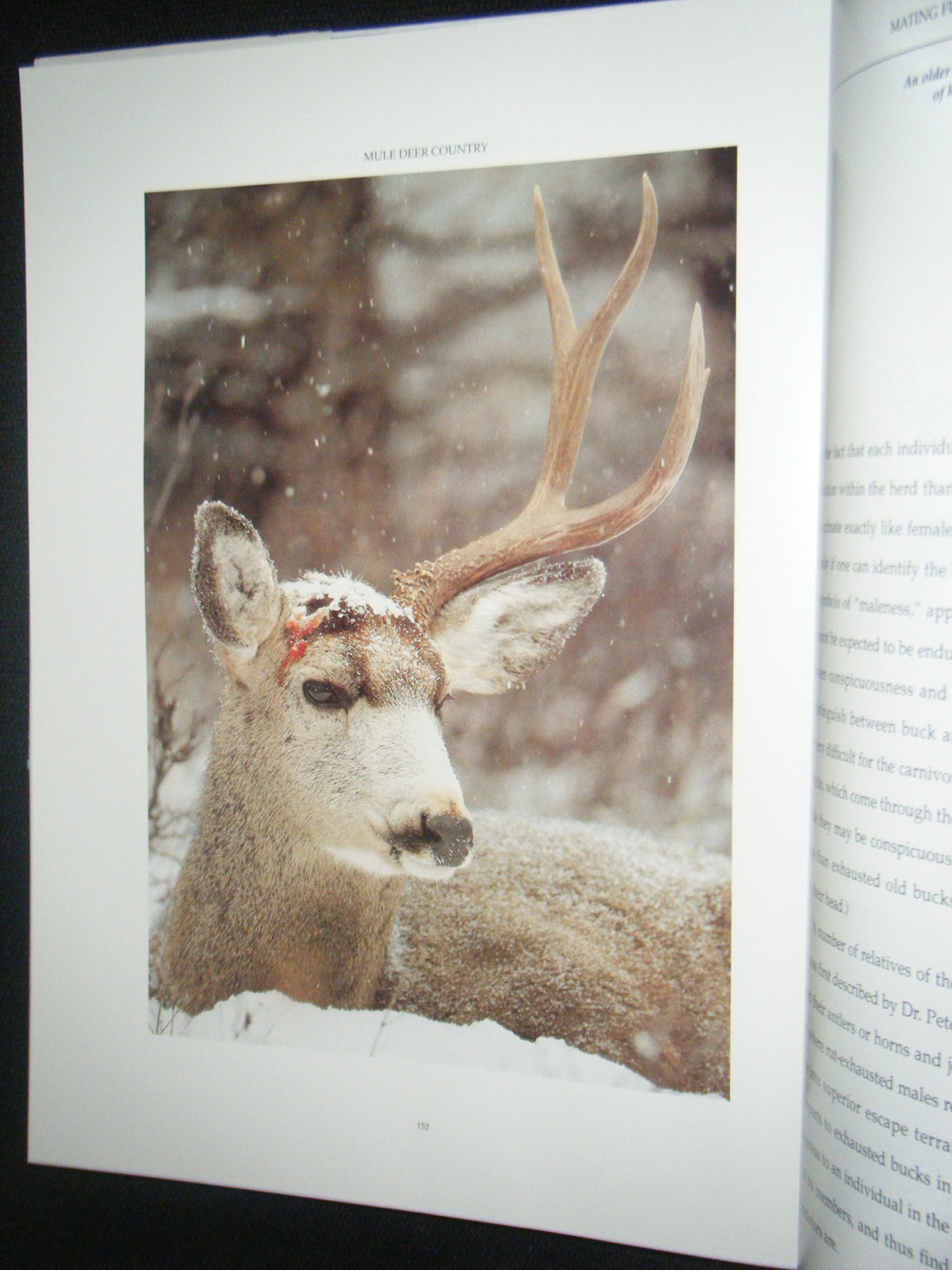 Mule Deer Country