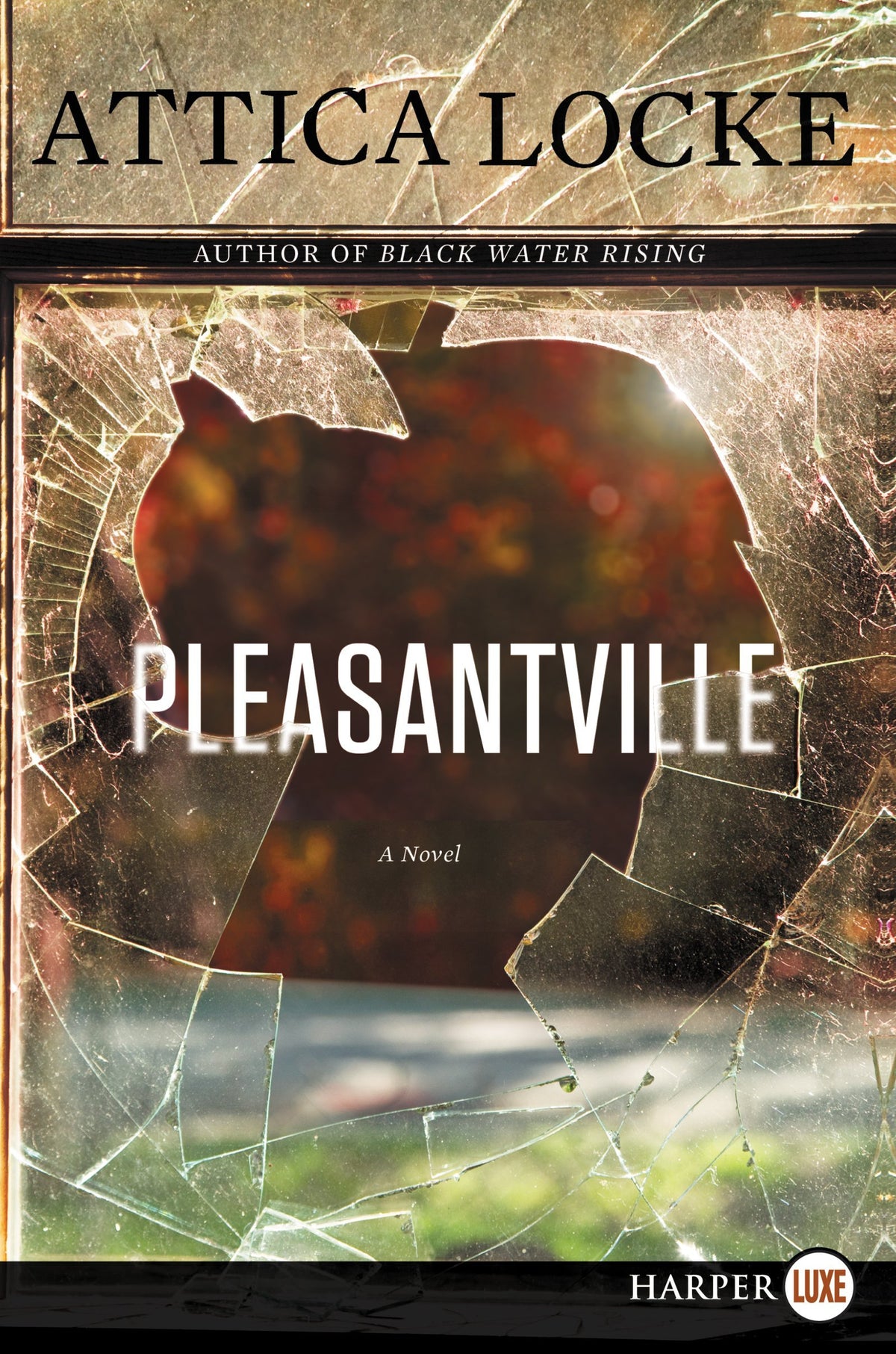 Pleasantville (Jay Porter Series, 2)