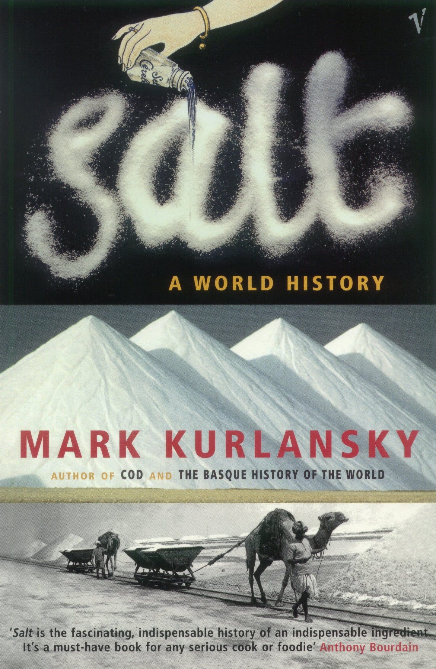 Salt : A World History