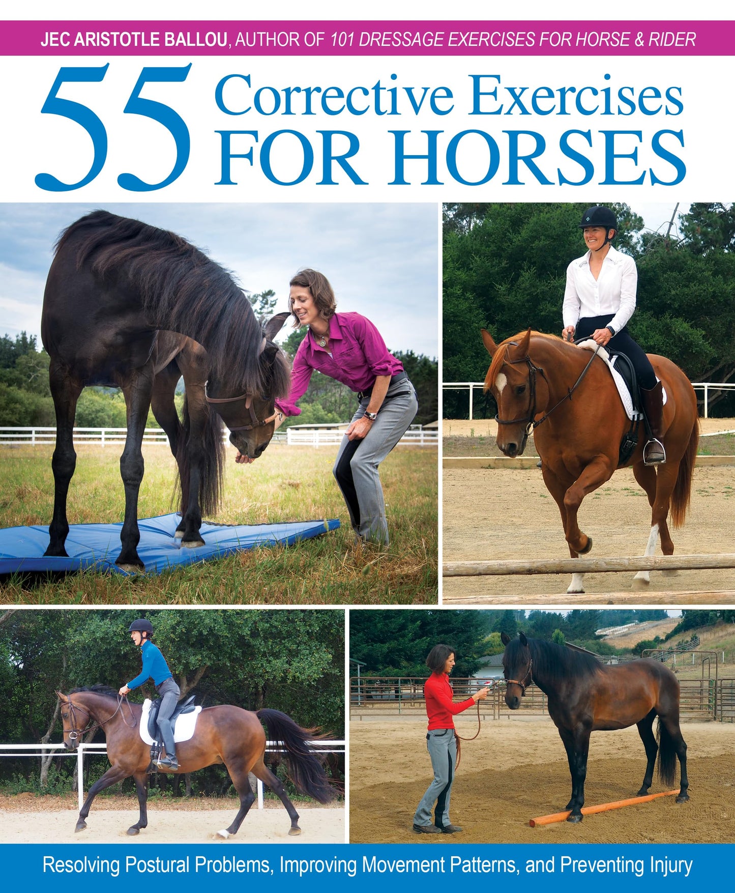 55 Corrective Exercises for Horses: Resolving Postural Problems