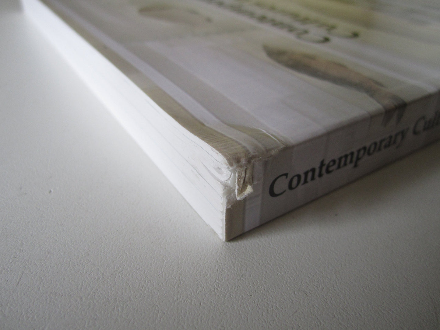 Contemporary Cultures of Display (Art and Its Histories Series)