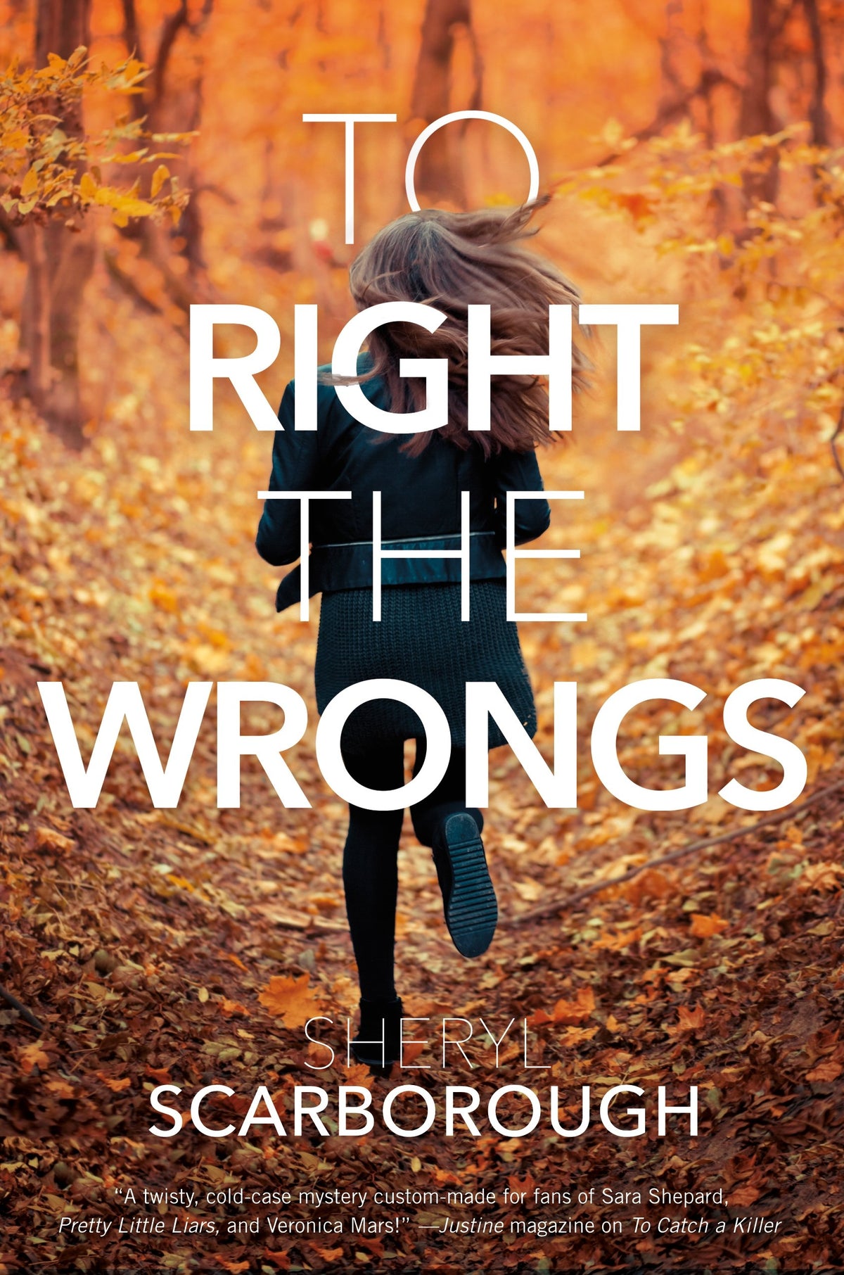 To Right the Wrongs (Erin Blake, 2)