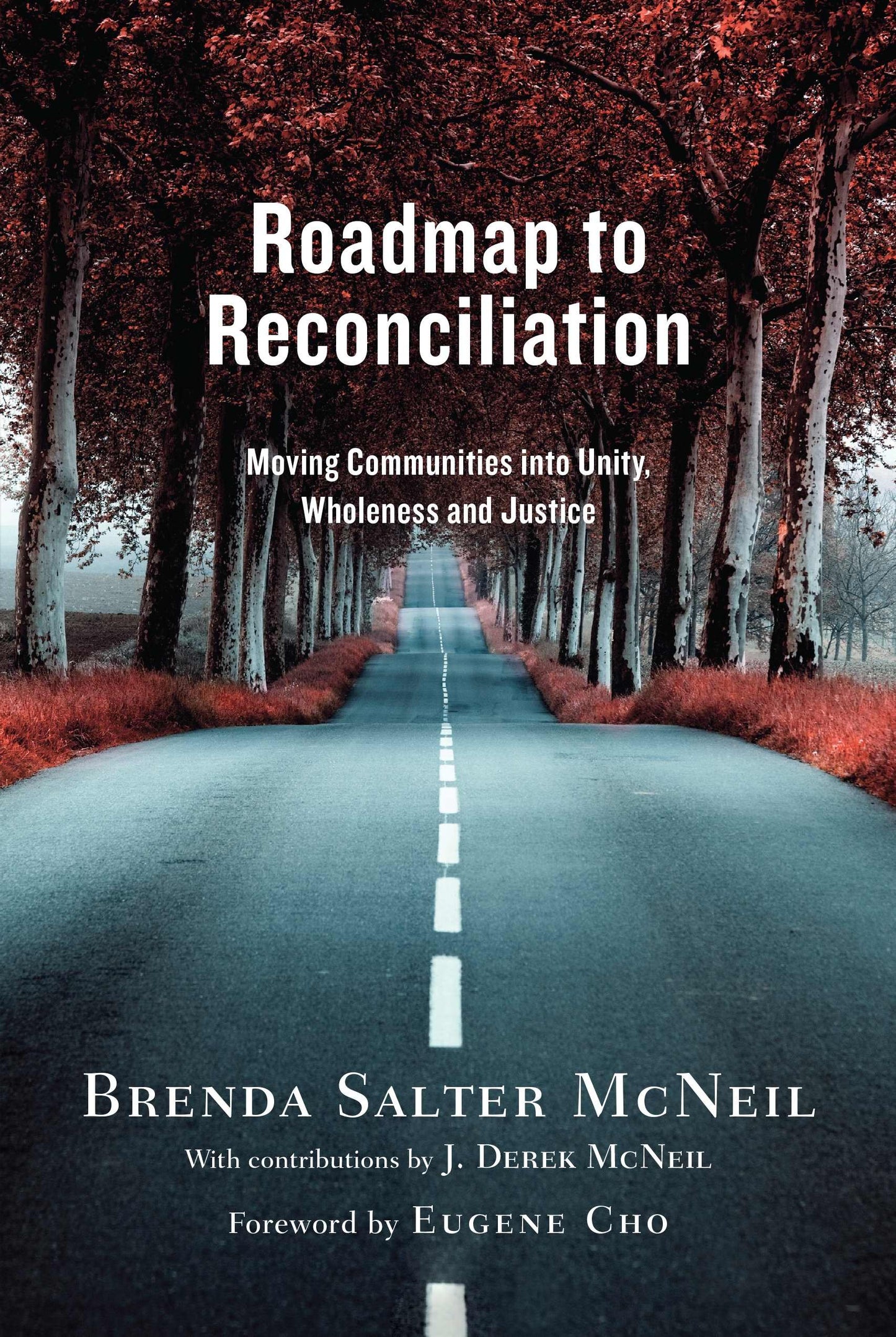 Roadmap to Reconciliation: Moving Communities into Unity, Wholeness and Justice