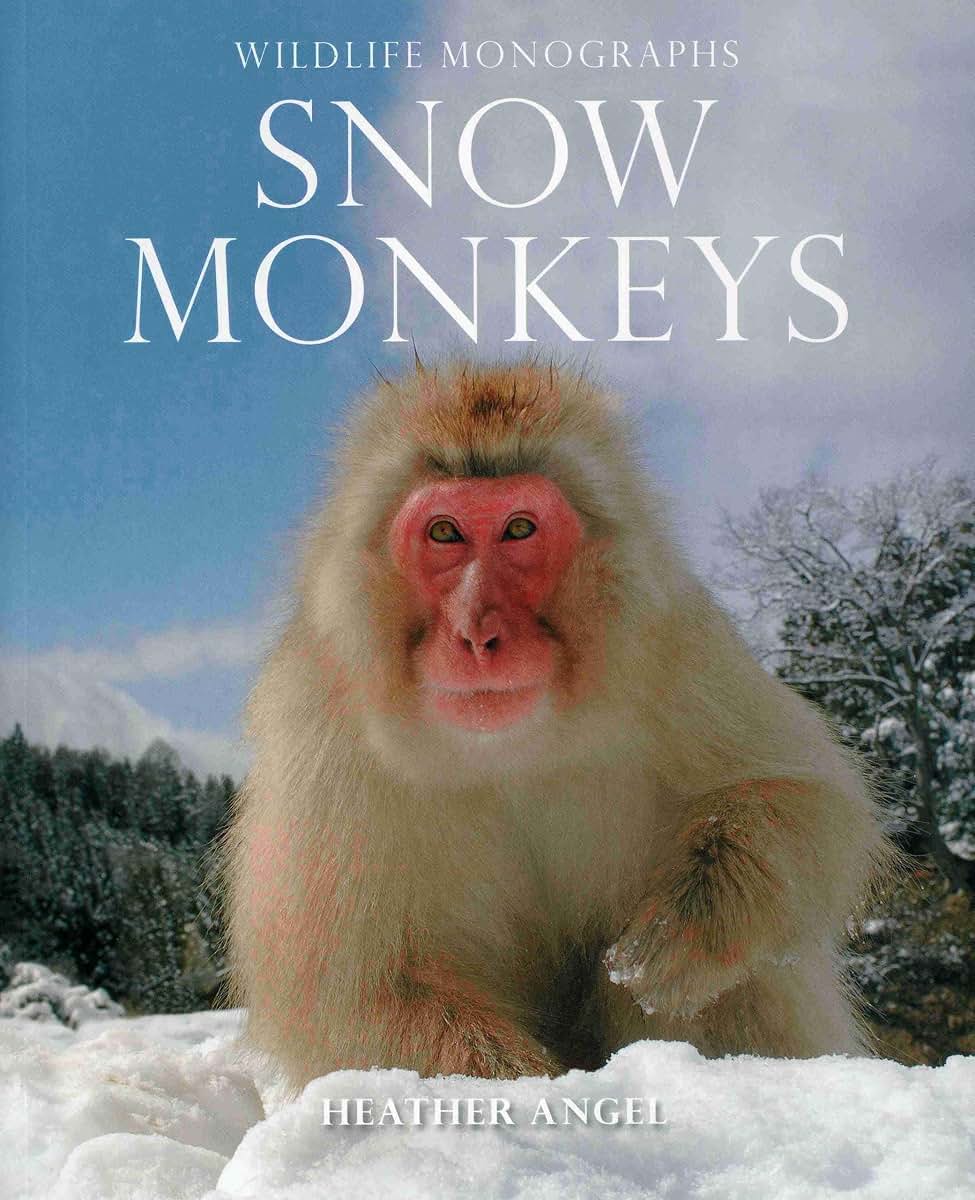 Snow Monkeys (Wildlife Monographs)