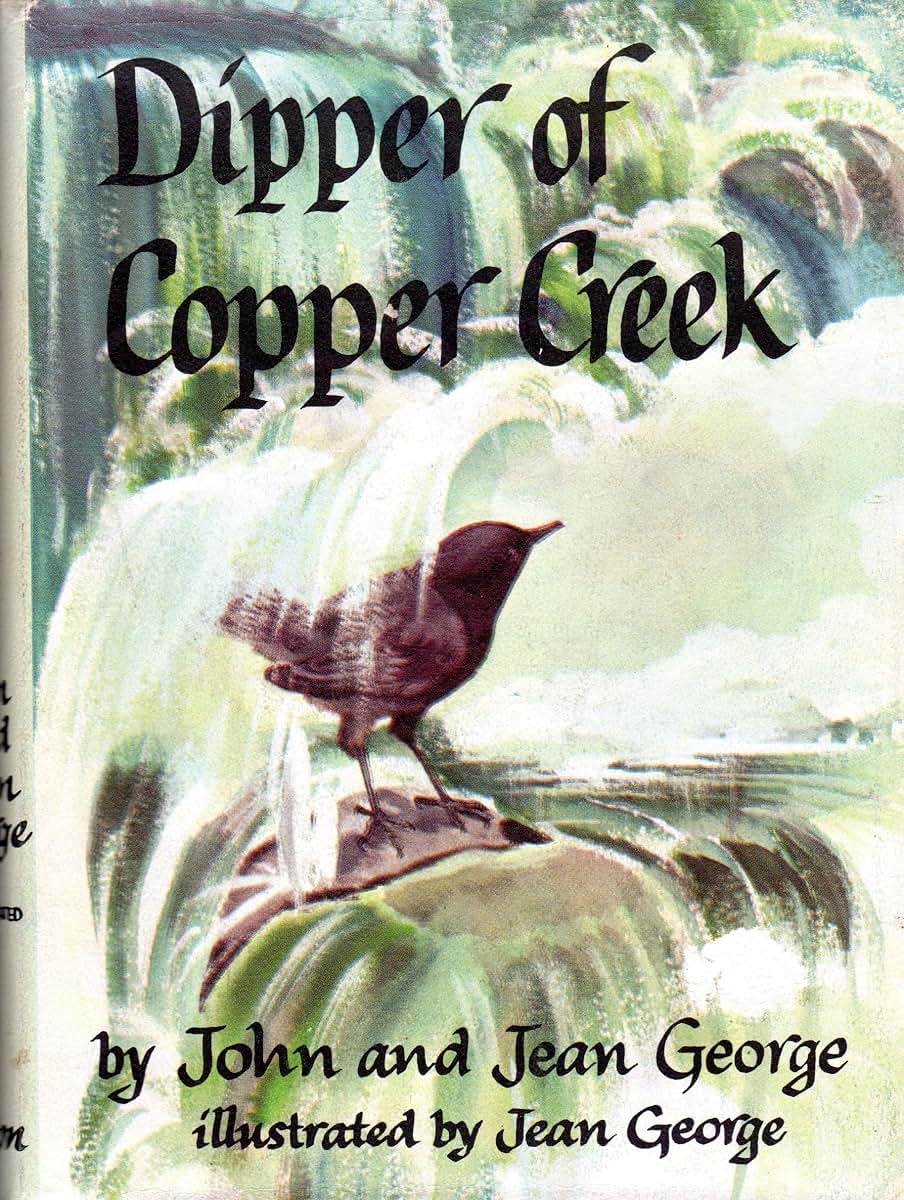 Dipper of Copper Creek
