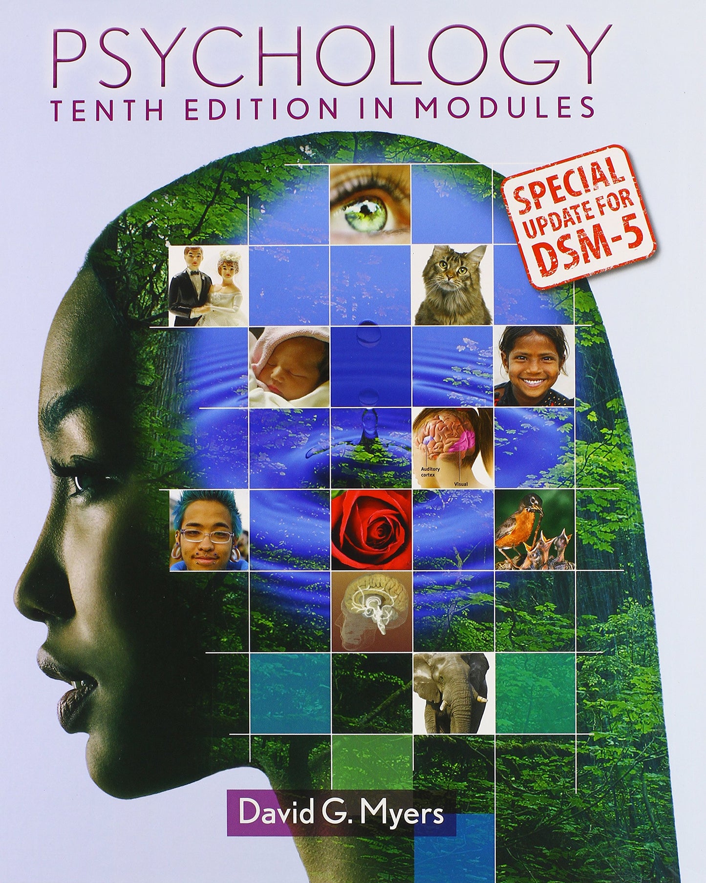 Fundamentals of the Physical Therapy Examination: Patient Interview and Tests & Measures