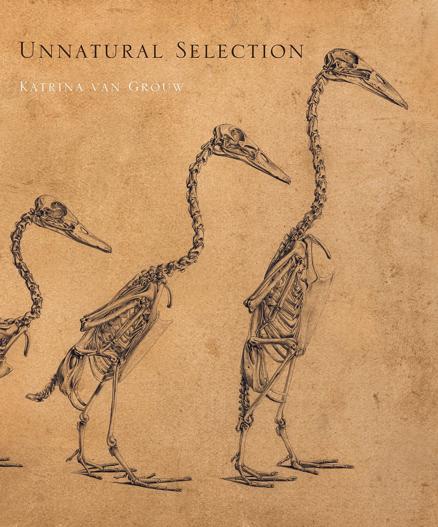 Unnatural Selection by van Grouw, Katrina