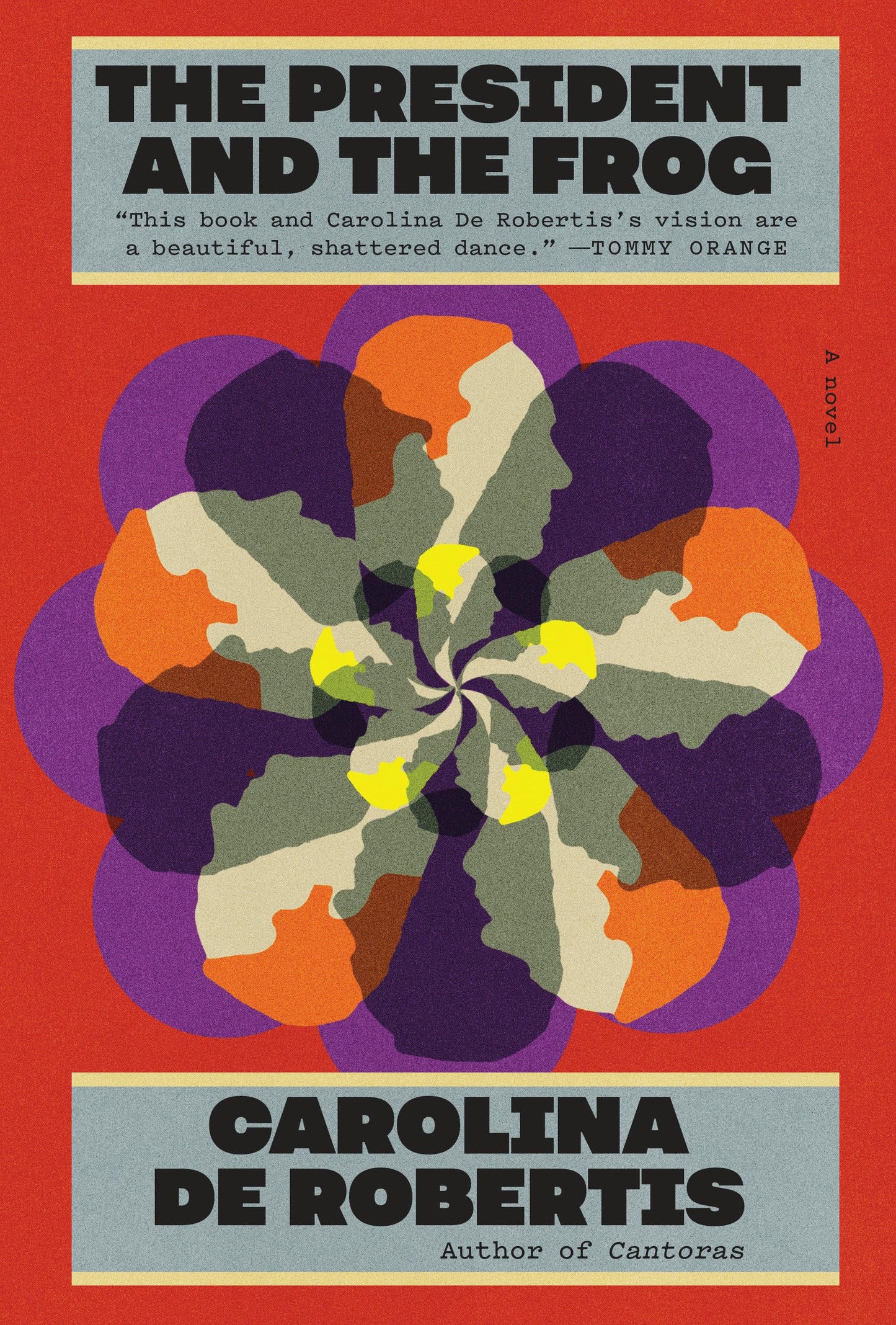 The President and the Frog: A novel by De Robertis, Carolina
