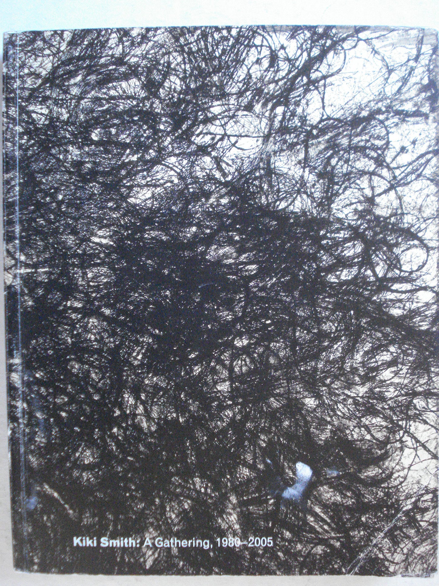 Kiki Smith: