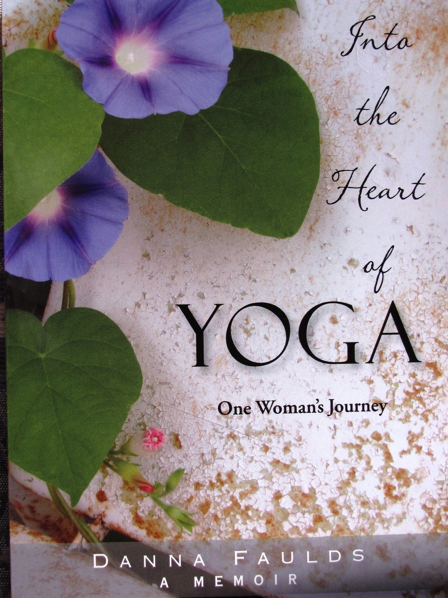 Into the Heart of Yoga: One Womans Journey: A Memoir