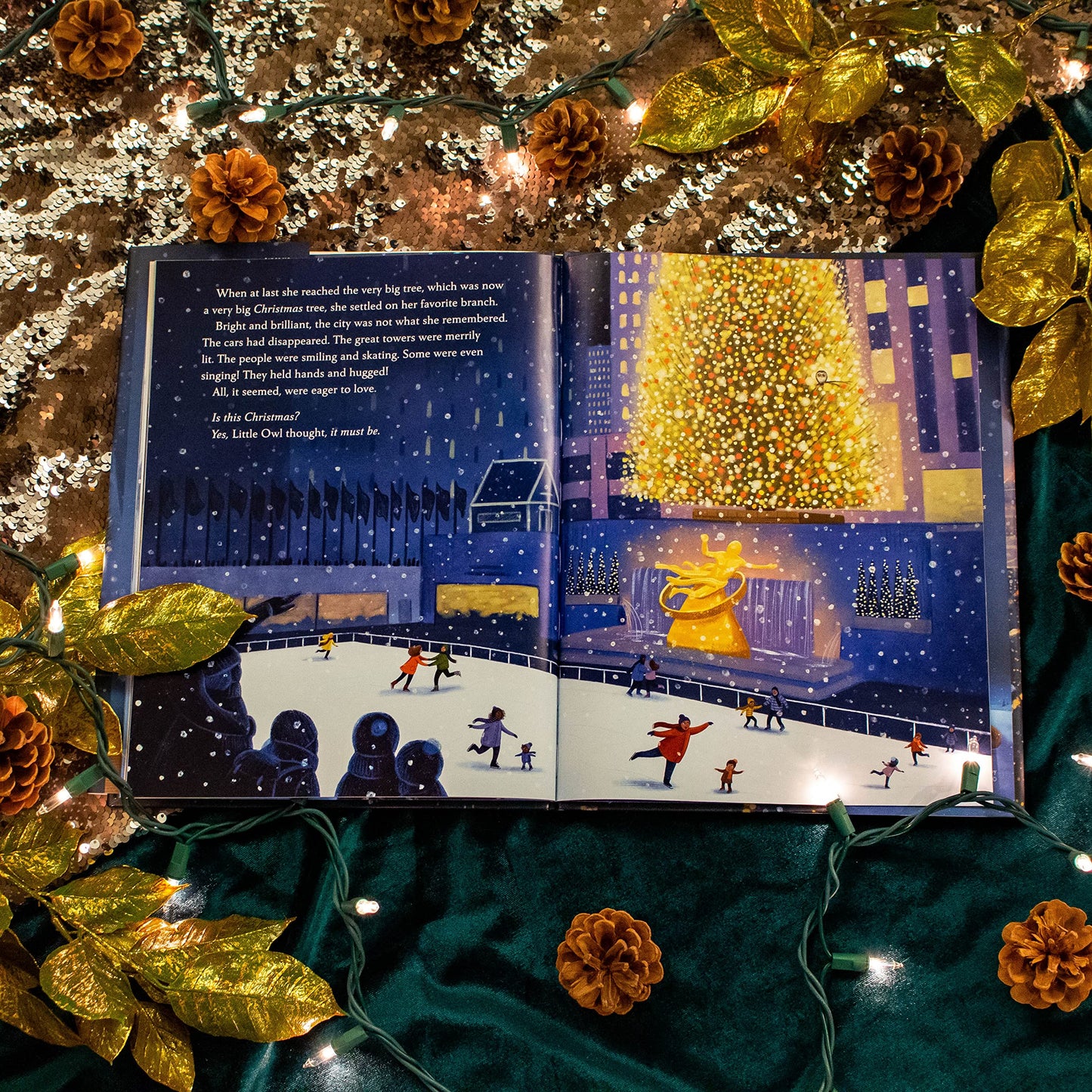 The Christmas Owl: Based on the True Story of a Little Owl N