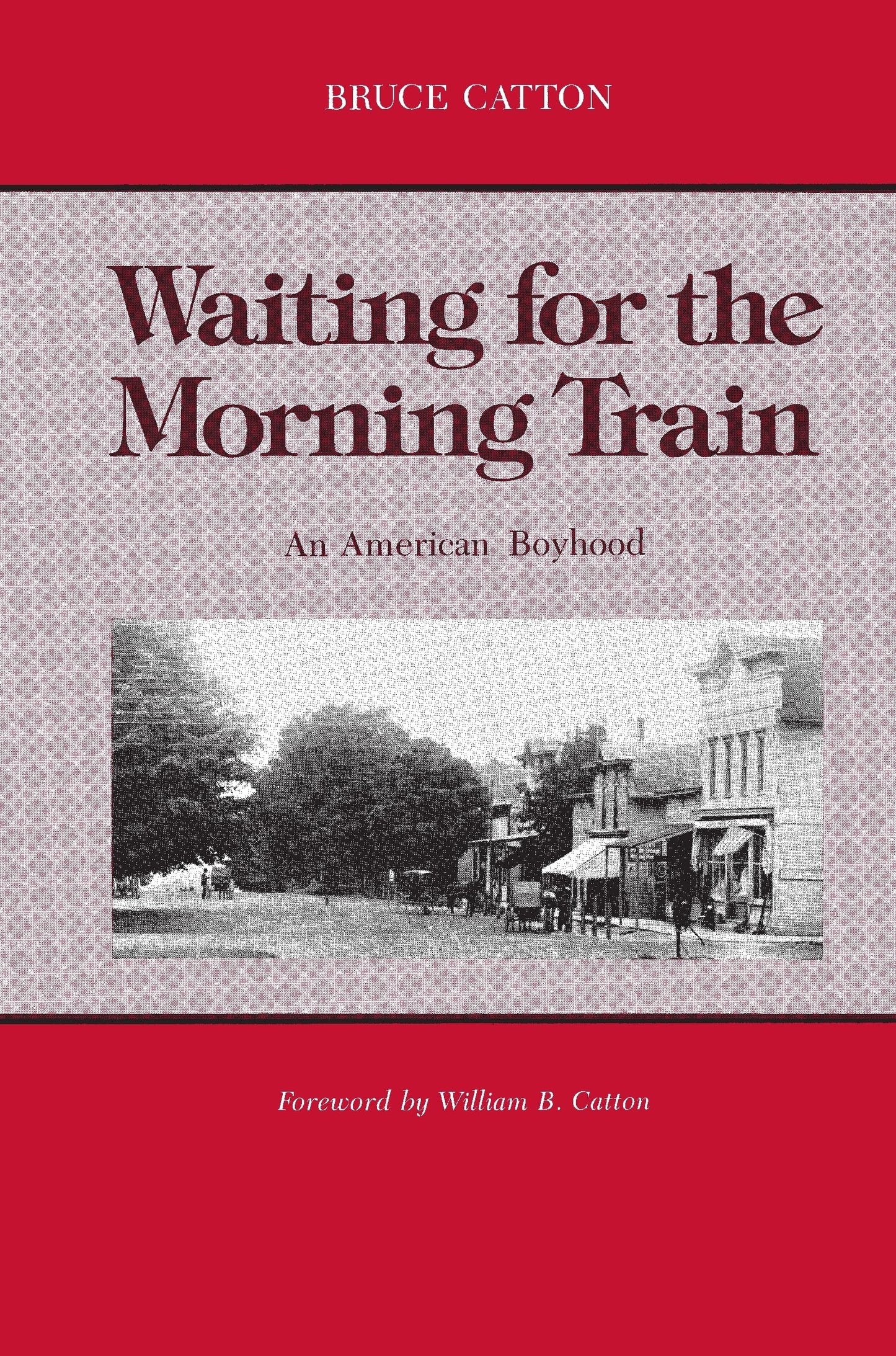 Waiting for the Morning Train: An American Boyhood (Great Lakes Books)
