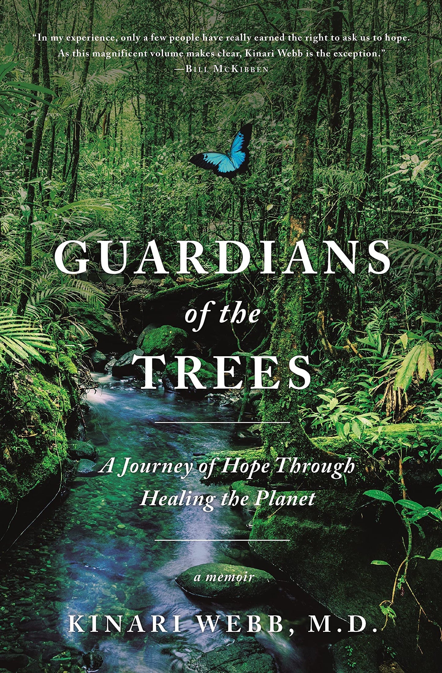 Guardians of the Trees by Kinari Webb