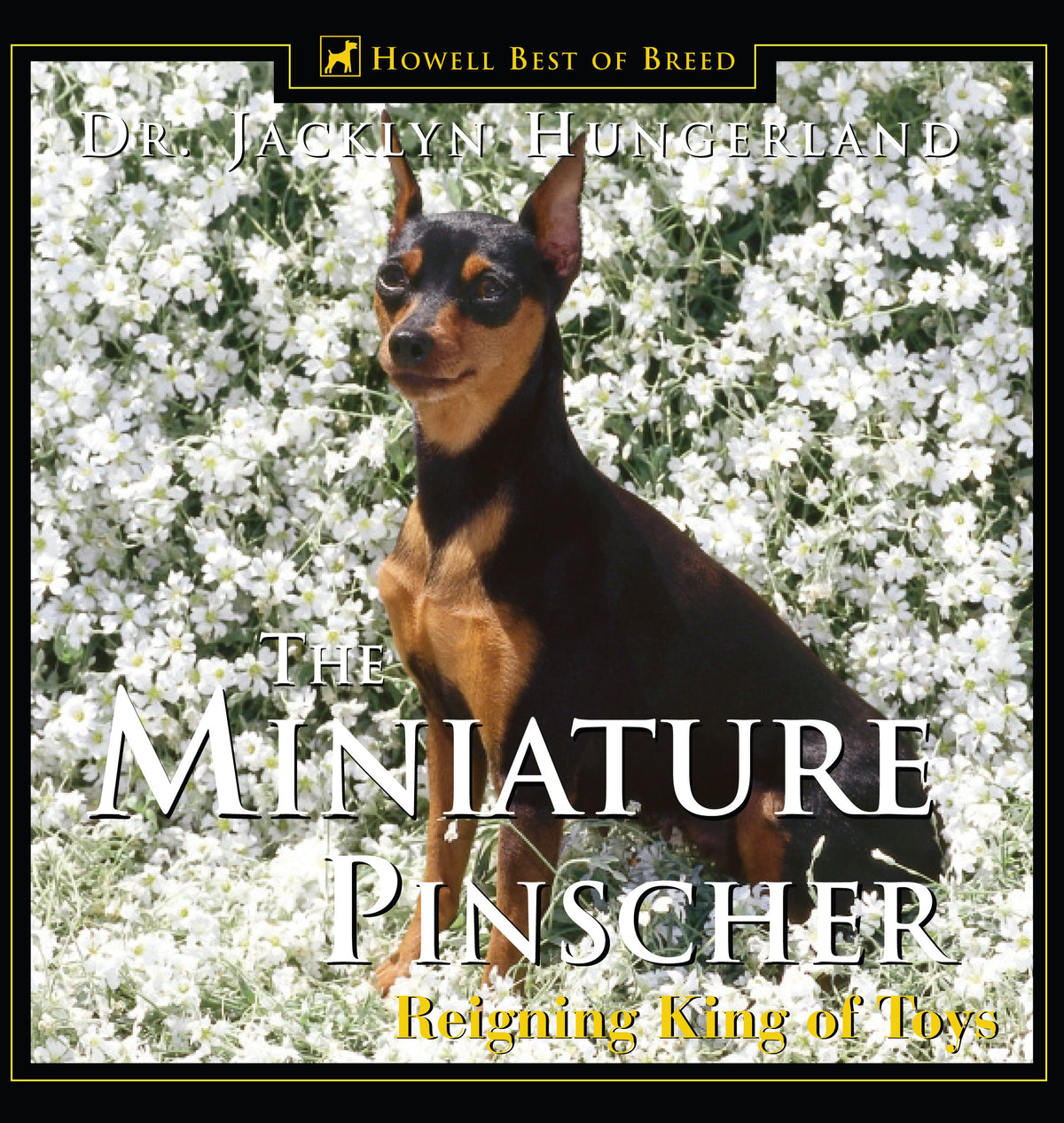 The Miniature Pinscher: Reigning King of Toys