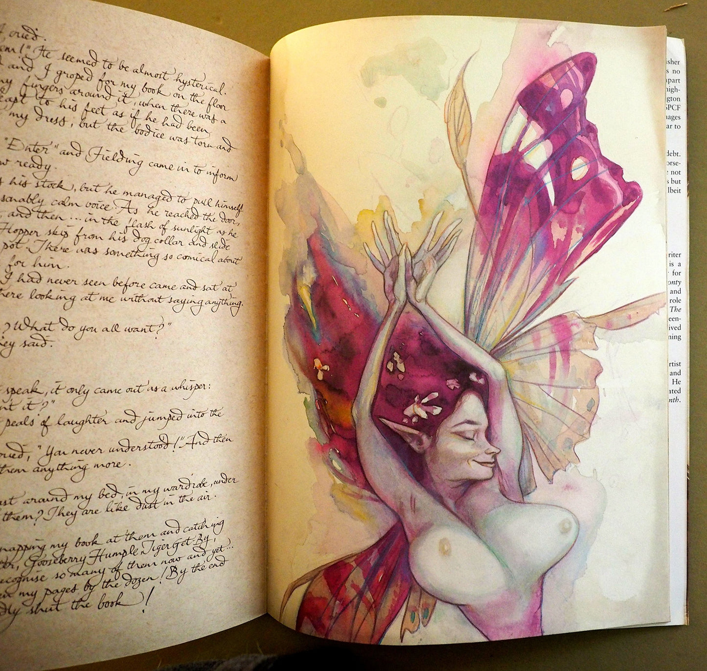 Lady Cottington's Pressed Fairy Book