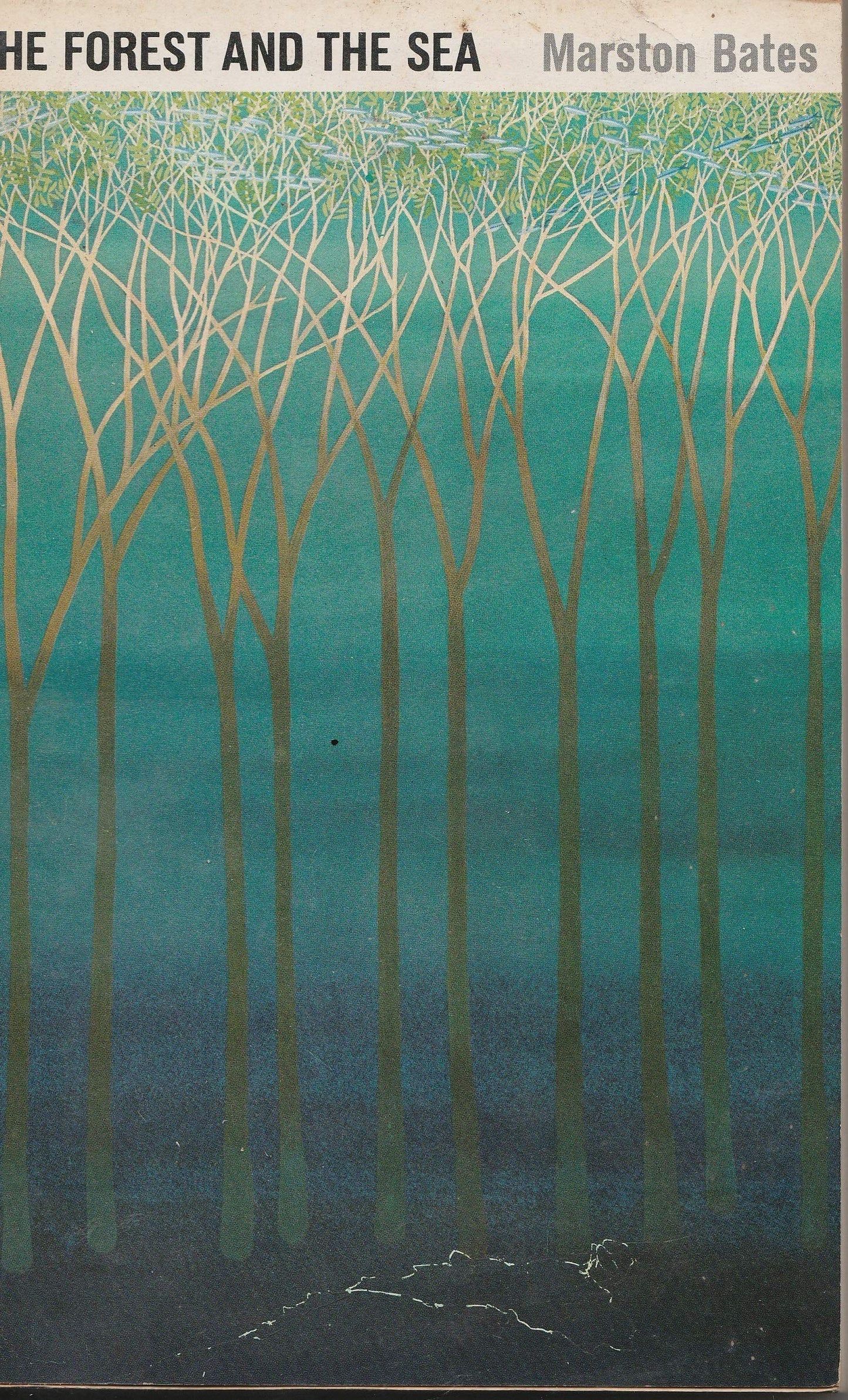 The Forest and the Sea: A Look at the Economy of Nature and the Ecology of Man