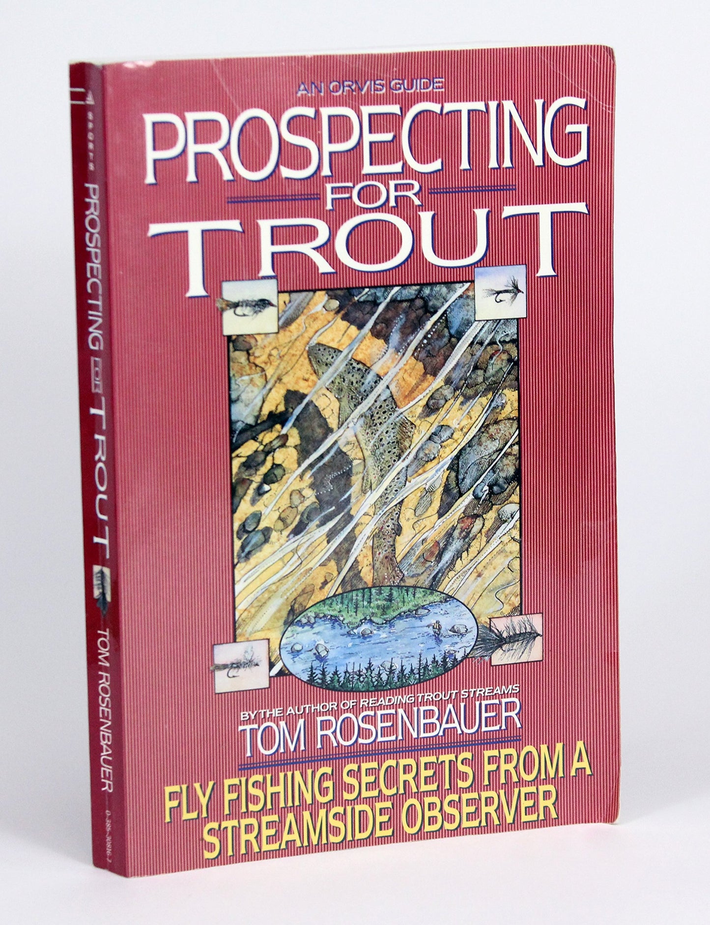 Prospecting for Trout: Fly Fishing Secrets from a Streamside Observer