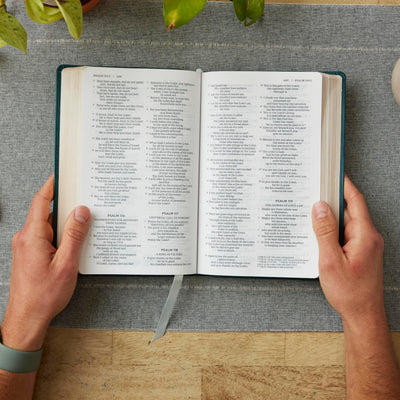 NRSV Catholic Edition Gift Bible, White Leathersoft (Comfort Print, Holy Bible, Complete Catholic Bible, NRSV CE): Holy Bible