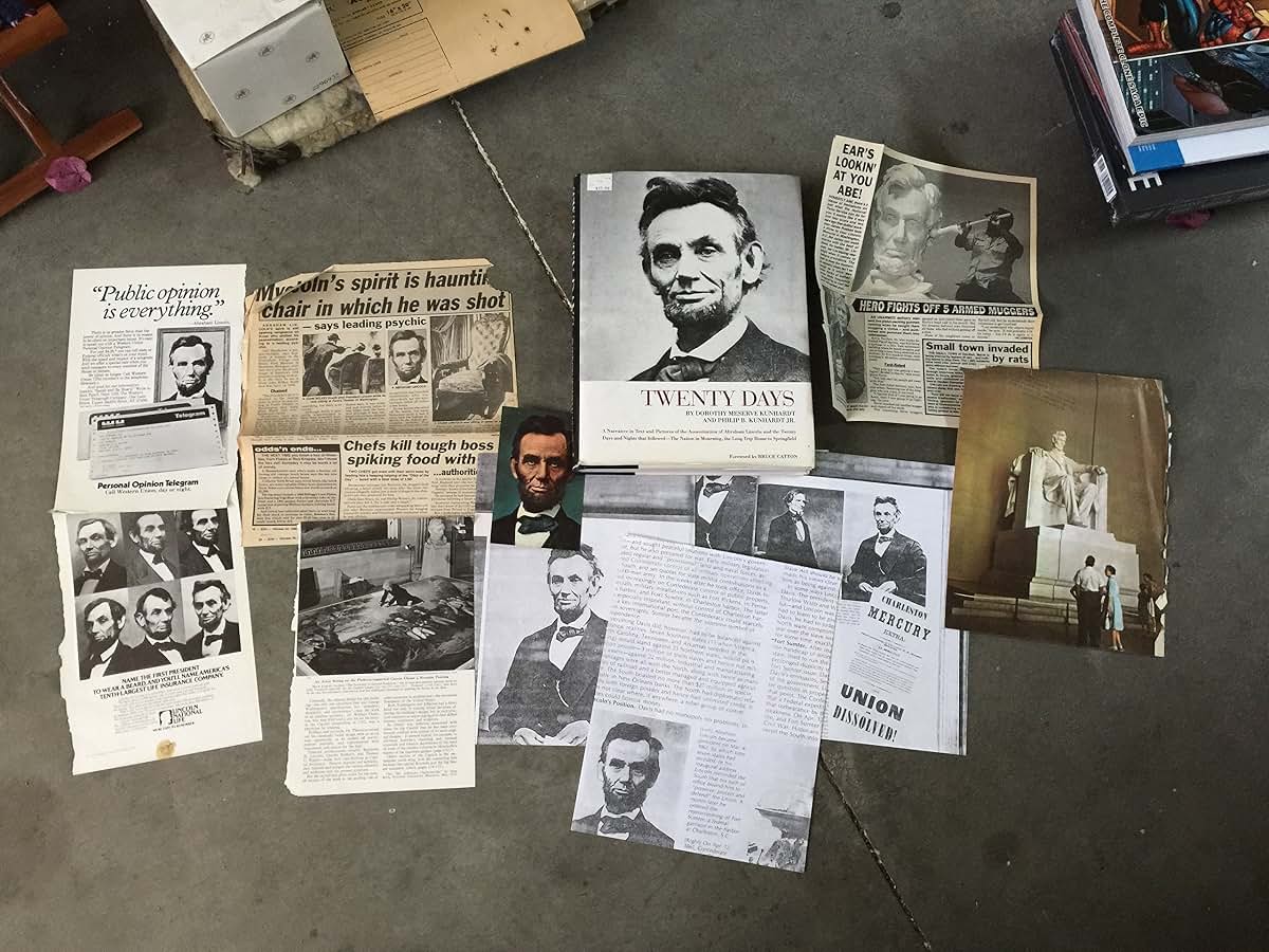 Twenty Days: A Narrative in Text and Pictures of the Assassi