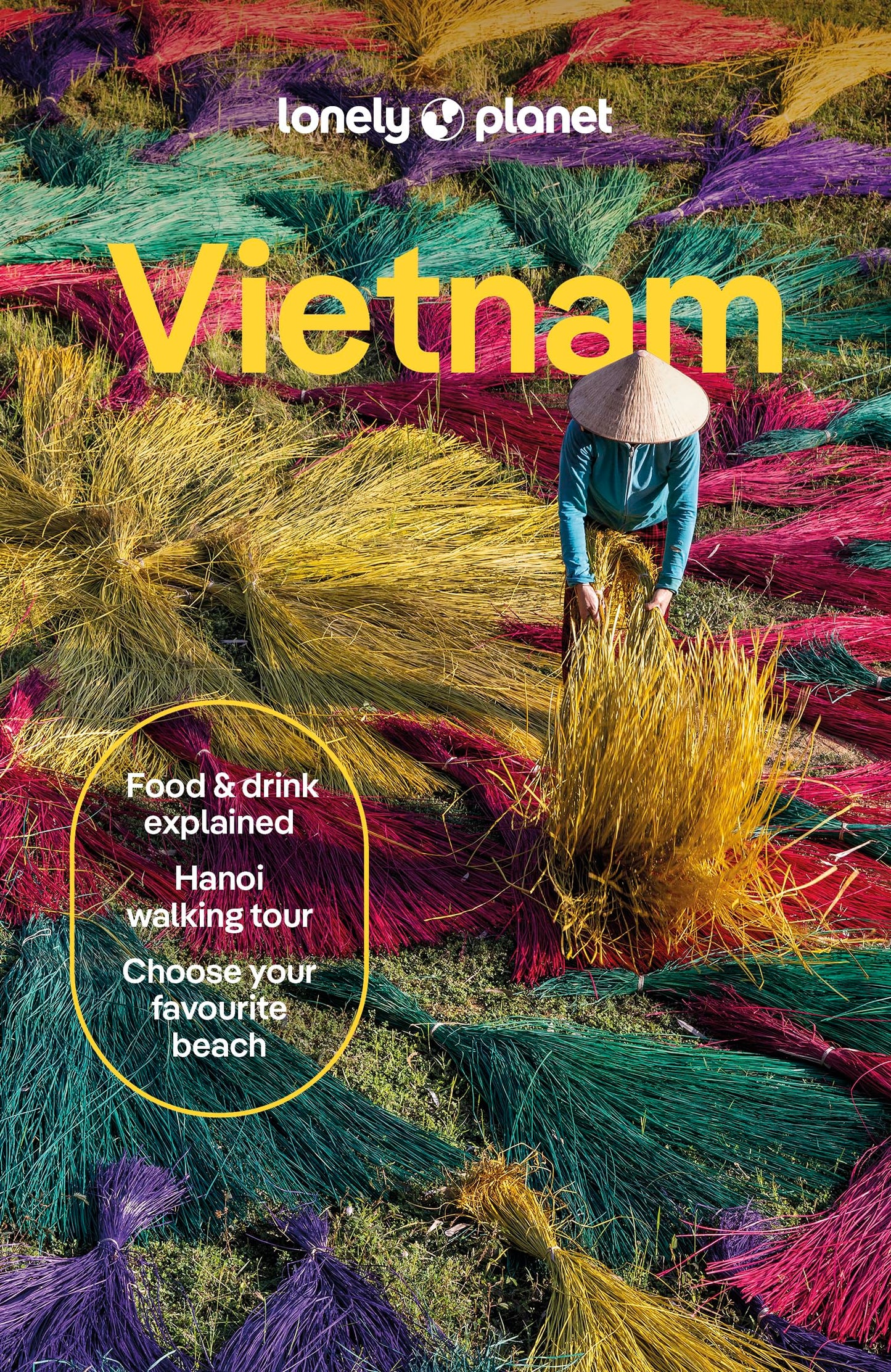 Lonely Planet Vietnam: Plan the Trip of a Lifetime Detailed Itineraries & Maps Insider Tips Covers Hanoi, Northern Vietnam, Southeast Coast and more (Travel Guide)