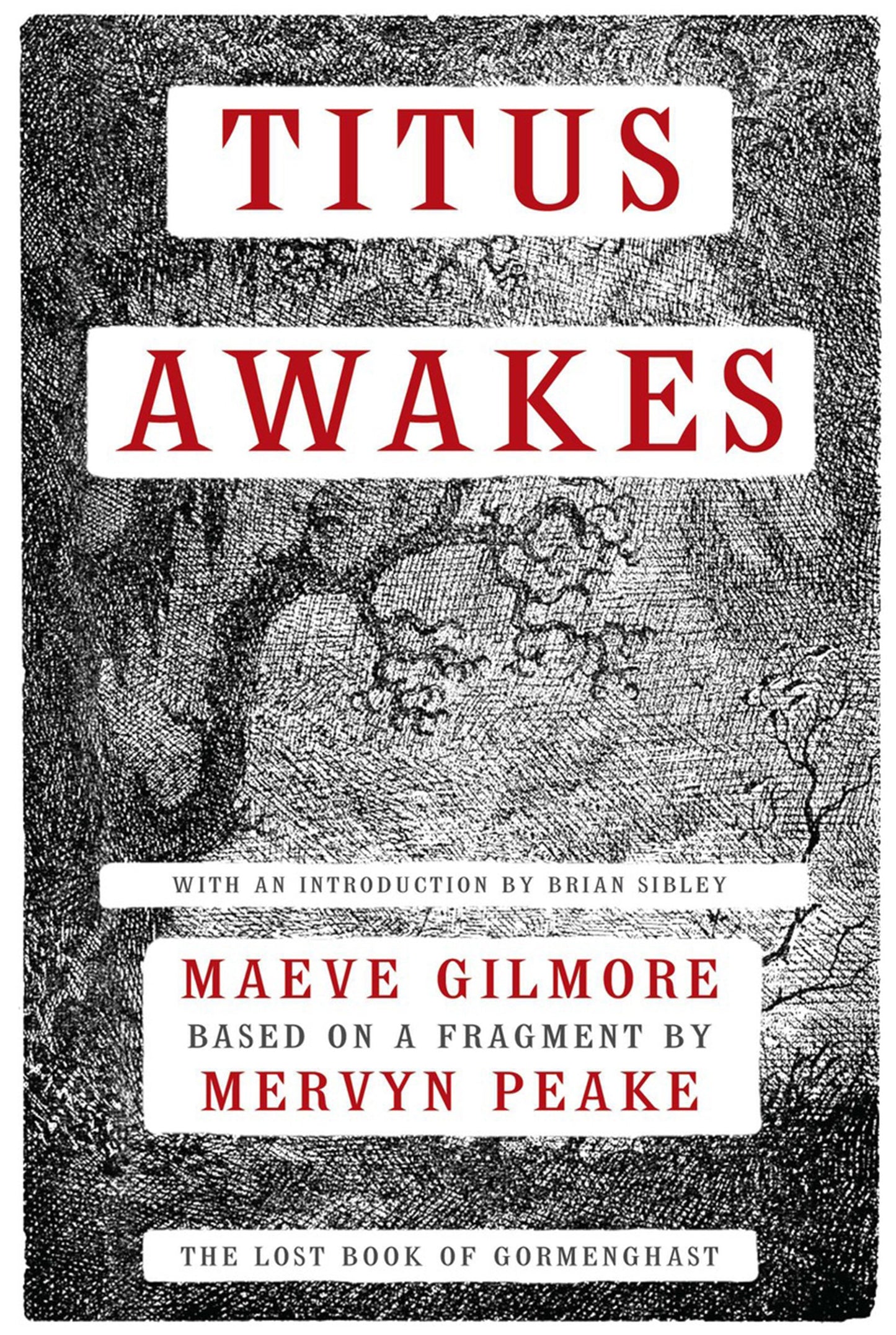 Titus Awakes: A Novel by Peake, Mervyn
