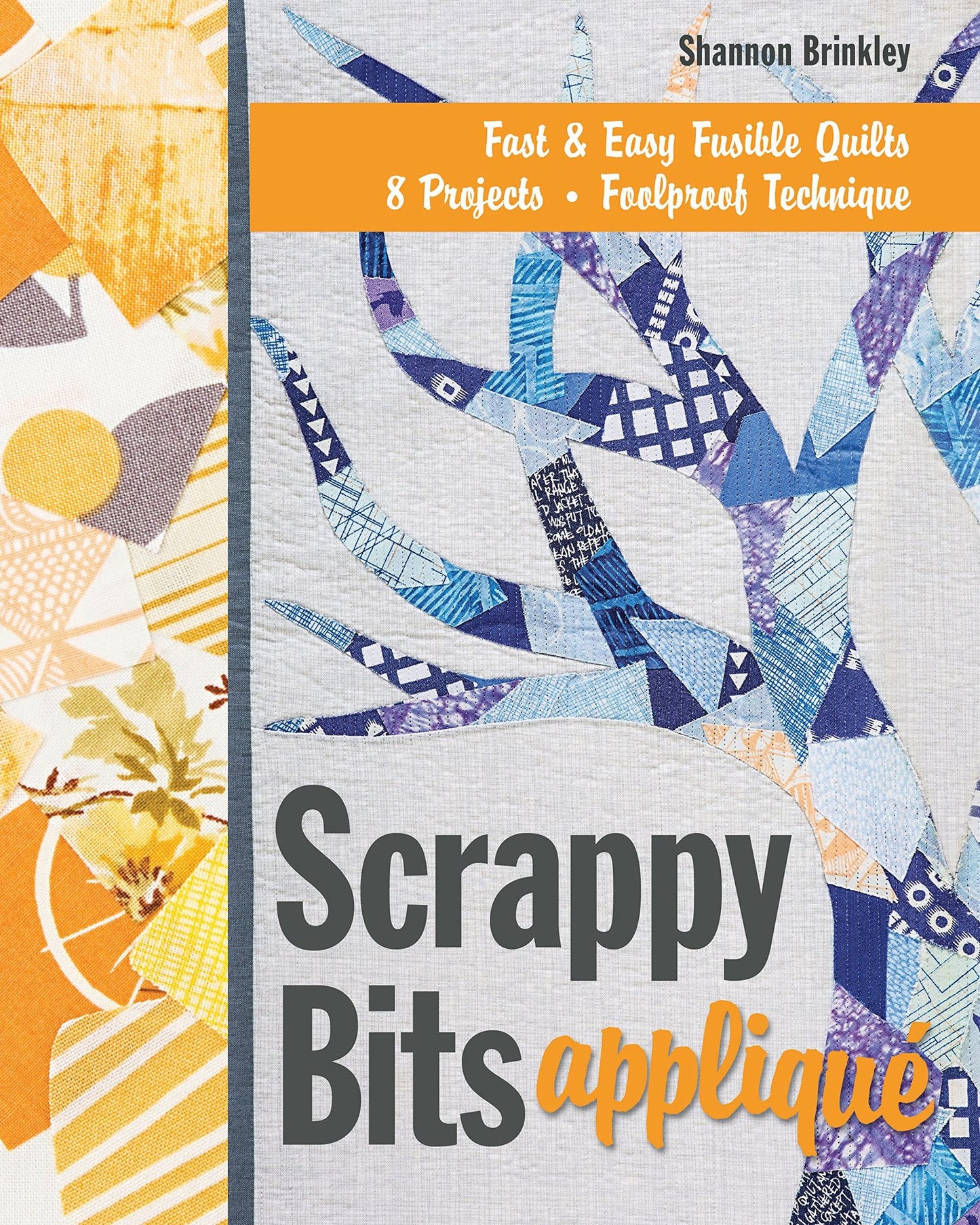 Scrappy Bits Appliqué: Fast & Easy Fusible Quilts 8 Projects Foolproof Technique