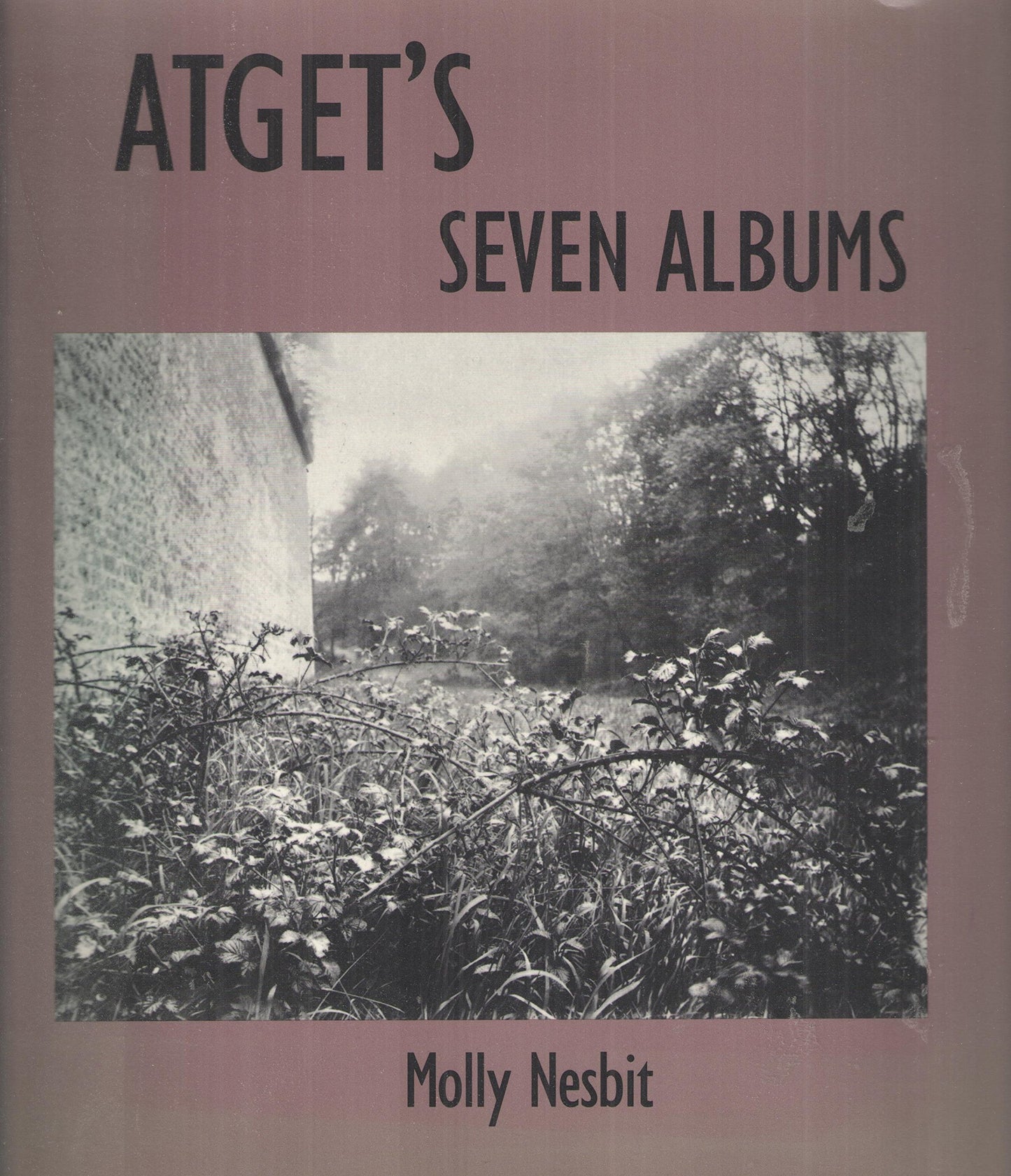 Atget's Seven Albums (Yale Publications in the History of Ar