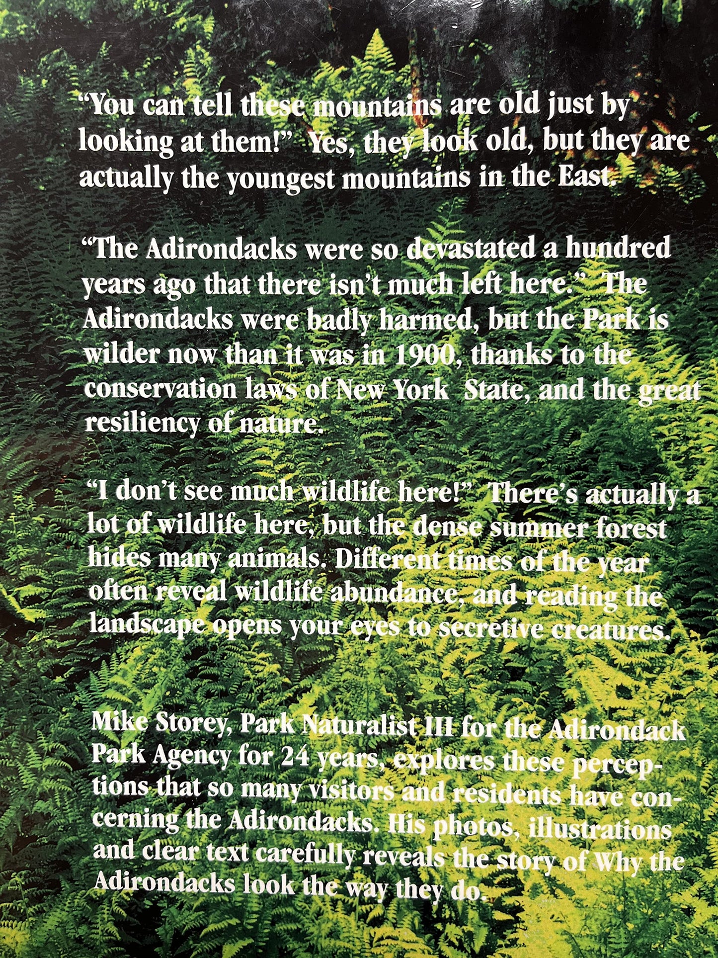 Why the Adirondacks Look the Way They Do: A Natural History
