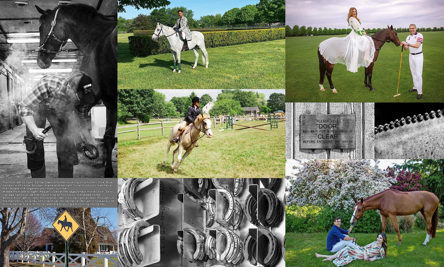 Equestrian Life in the Hamptons