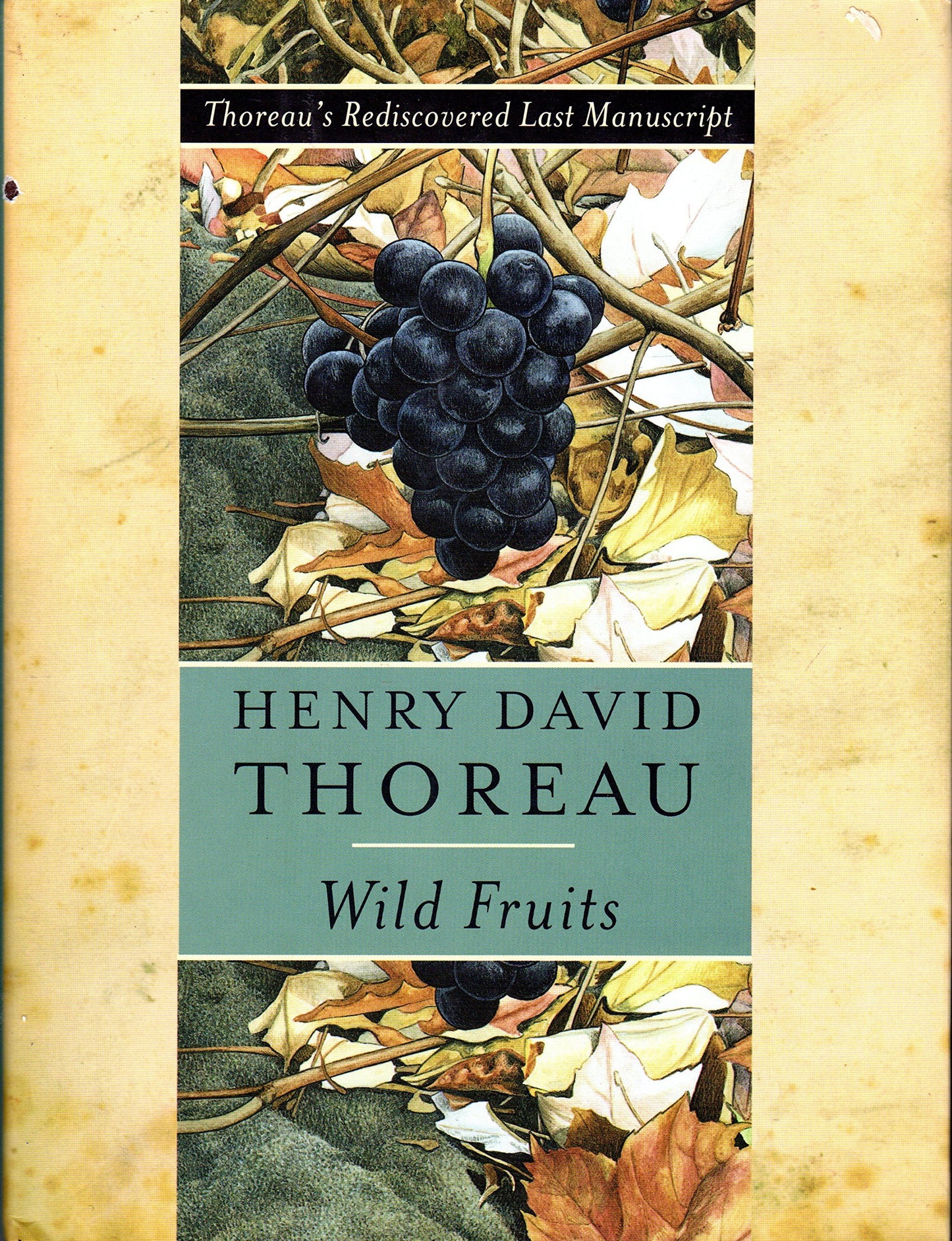 Wild Fruits: Thoreau's Rediscovered Last Manuscript by Thore