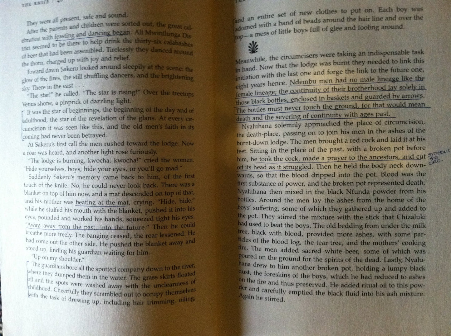 The Spirit and the Drum: A Memoir of Africa