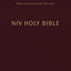 NIV, Holy Bible, Compact, Paperback, Burgundy, Comfort Print