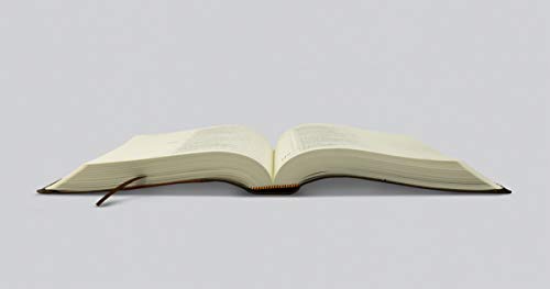 ESV Single Column Journaling Bible (TruTone, Brown/Cordovan, Portfolio Design)