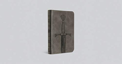 ESV Compact Bible (TruTone, Silver, Sword Design)