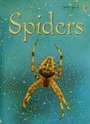Spiders, Level 1: Internet Referenced (Beginners Nature - New Format)