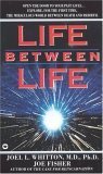 Life Between Life by Whitten, Joel