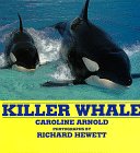 Killer Whale